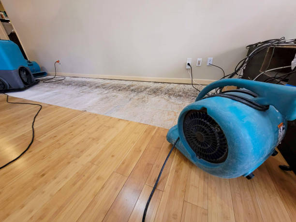 Professional Water Damage Repair technician working in Jbsa Ft Sam Houston, TX